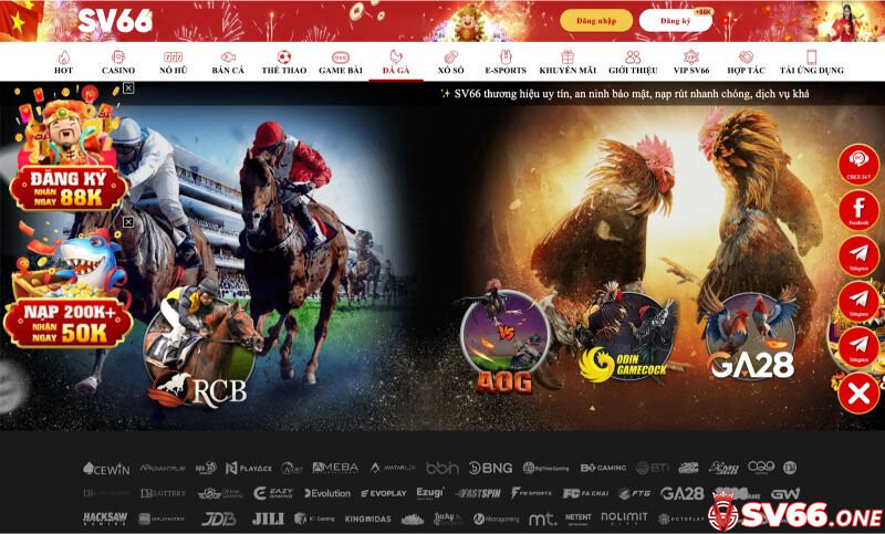 SV66 - SV66.COM | Trang Chủ Chính Thức 2026 13 Đá gà SV66 với nhiều sảnh đấu đặc sắc